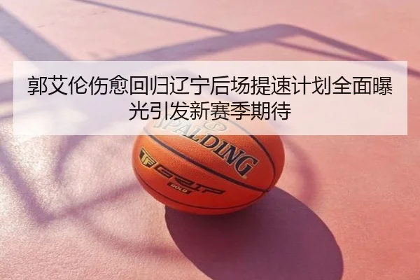 郭艾伦伤愈回归辽宁后场提速计划全面曝光引发新赛季期待