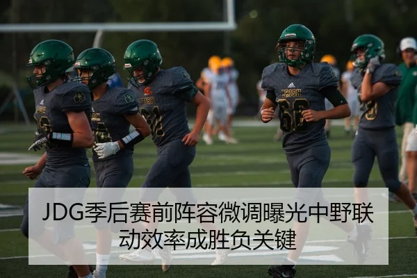 JDG季后赛前阵容微调曝光中野联动效率成胜负关键